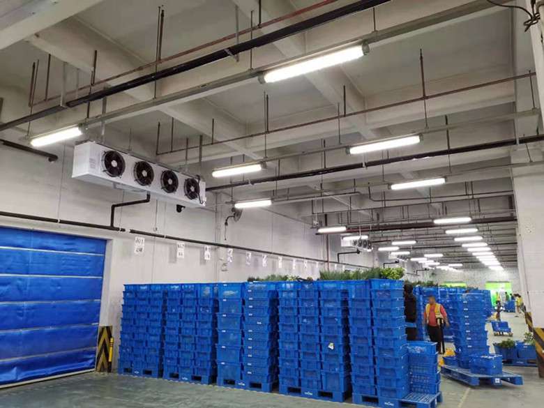 2400平廠房改建成生鮮冷藏庫應該如何來規劃設計？