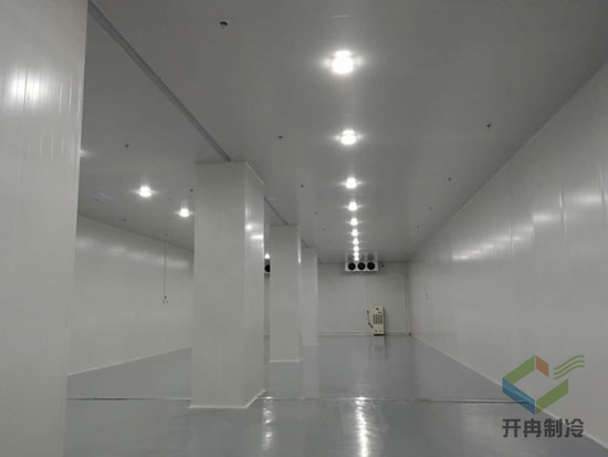 藥品冷凍庫建造安裝設計的特點及優(yōu)勢是哪些？