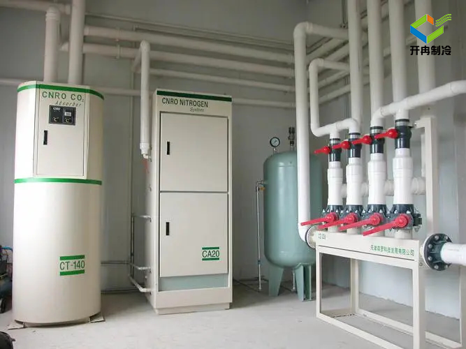 建造一個100噸的水果保鮮冷庫多少錢？