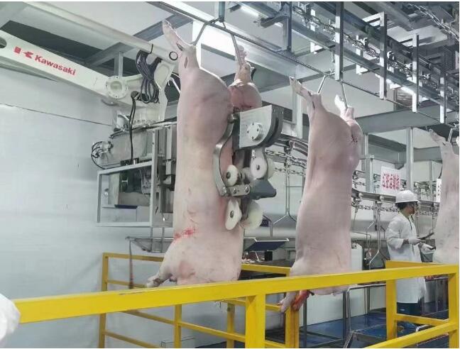 10萬頭生豬屠宰場(chǎng)冷庫建造價(jià)格及配置清單