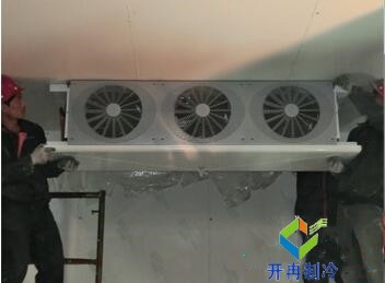 東莞100平水果保鮮冷庫造價(jià)大概要多少錢？