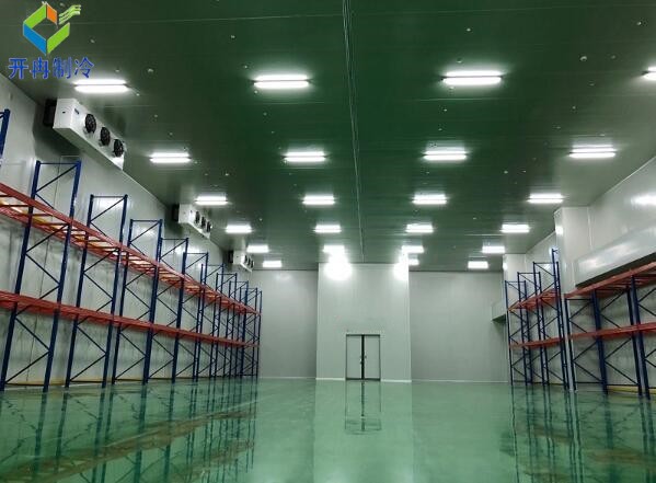 設(shè)一個(gè)2000噸冷庫需要多少錢？冷鏈物流行業(yè)的投資與挑戰(zhàn)