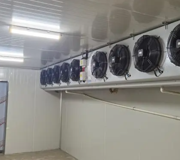 速凍冷庫(kù)的優(yōu)點(diǎn)有哪些？_上海開(kāi)冉制冷