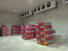 山東安裝一個500噸蘋果保鮮庫需要多少錢?