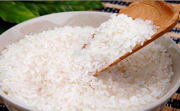 5000噸糧食大米冷庫建造價格是多少 5000噸糧食大米冷庫建造價格是多少