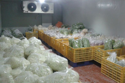 果蔬冷庫 果蔬冷庫