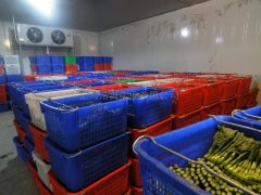 蔬菜批發(fā)市場(chǎng)建冷庫(kù)，建多大合適