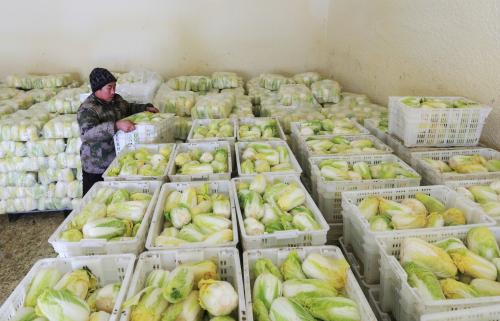 果蔬冷庫(kù)設(shè)計(jì)安裝