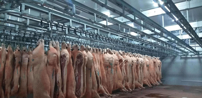 上海凍肉品類冷庫 上海凍肉品類冷庫