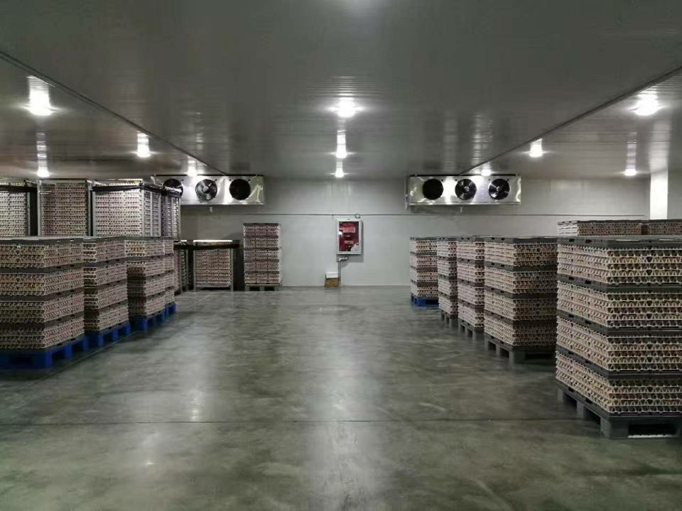 500平米食品冷庫 500平米食品冷庫