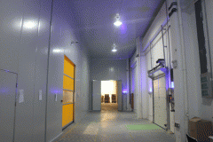 10000立方米食品多溫冷庫造價，總投資大概要多少錢