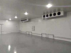 預建1500平米冷庫造價需要多少錢？