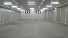 新建500噸香蕉水果氣調庫需要多少錢？