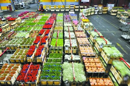 1582866410847670.jpg timg.jpg