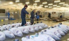 占地4000平高5米海鮮冷庫安裝需要多少錢？