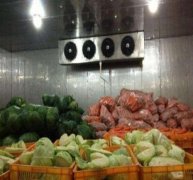 50噸蔬菜保鮮庫(kù)決定造價(jià)的因素有哪些？
