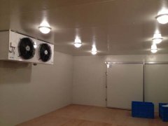  上海安裝冷庫(kù)公司，保鮮冷庫(kù)設(shè)計(jì)，小型冷庫(kù)造價(jià)