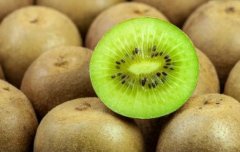 獼猴桃氣調保鮮冷庫造價，氣調庫哪家好